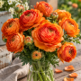 Ranunculus asiaticus aviv orange