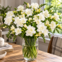 Freesia Double White