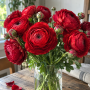 Ranunculus asiaticus aviv red