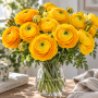 Ranunculus asiaticus aviv yellow