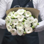 Ranunculus asiaticus aviv white