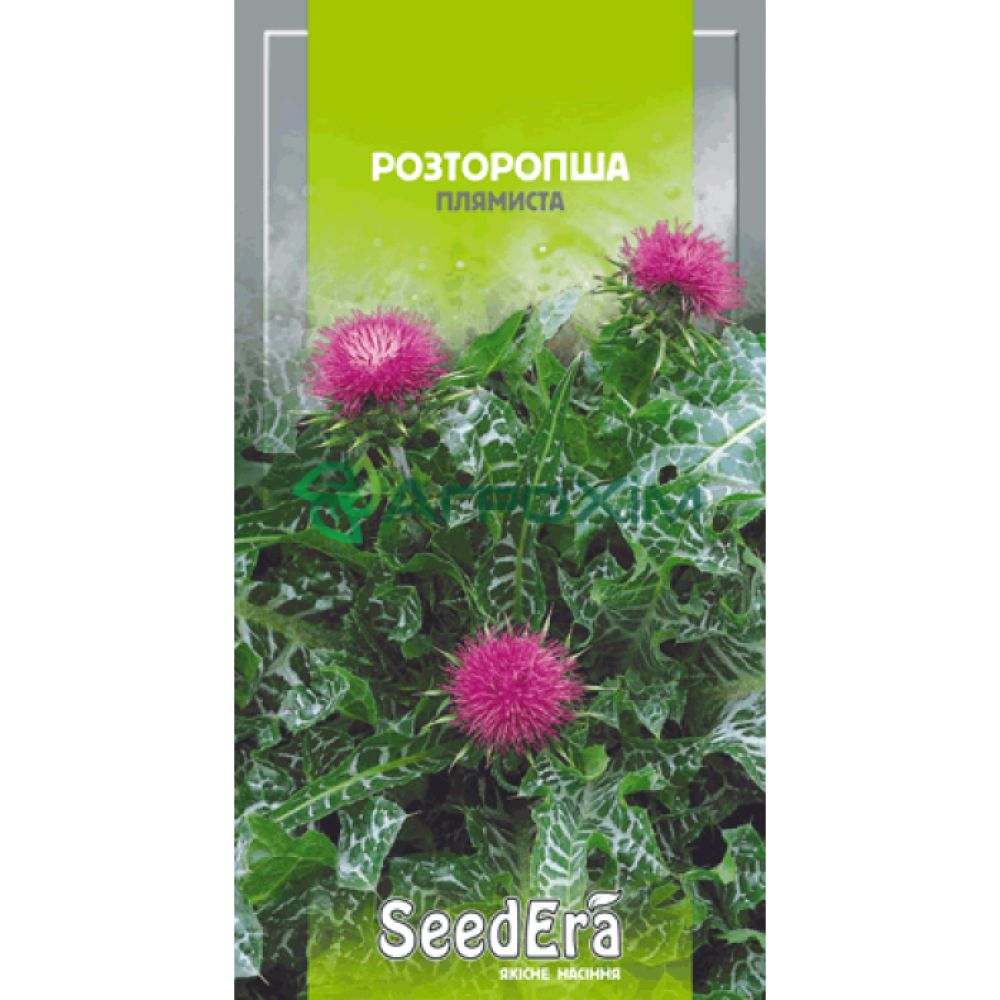 Armurariu (Silybum marianum) 1 g.