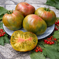 Roșii Pitic Apus Purpuriu 15 sem.