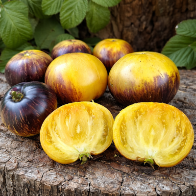 Roșii Eclipsa Lunii 10 sem.