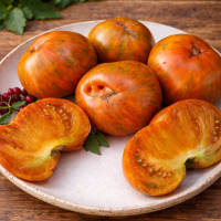 Roșii Zâmbetul Sandrei 15 sem.