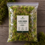 Substrat Muschi Sphagnum 2 litru
