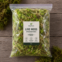 Substrat Muschi Sphagnum 1 litru