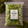 Substrat Muschi Sphagnum 1 litru