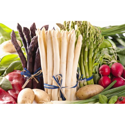 Aspargus Officinalis