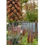 Digitalis Milk chocolate