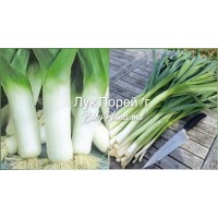 Лук Порей 1 г