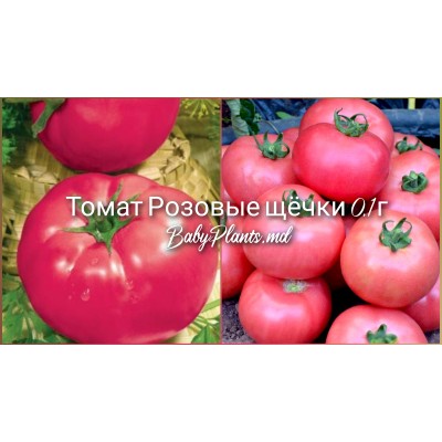 Томат Розовые щёчки 0.1 г