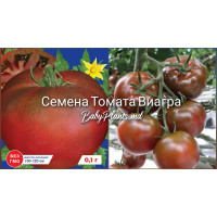Томат Виагра (0.1г)