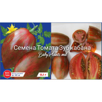 Томат Зуб кабана (0.1г)
