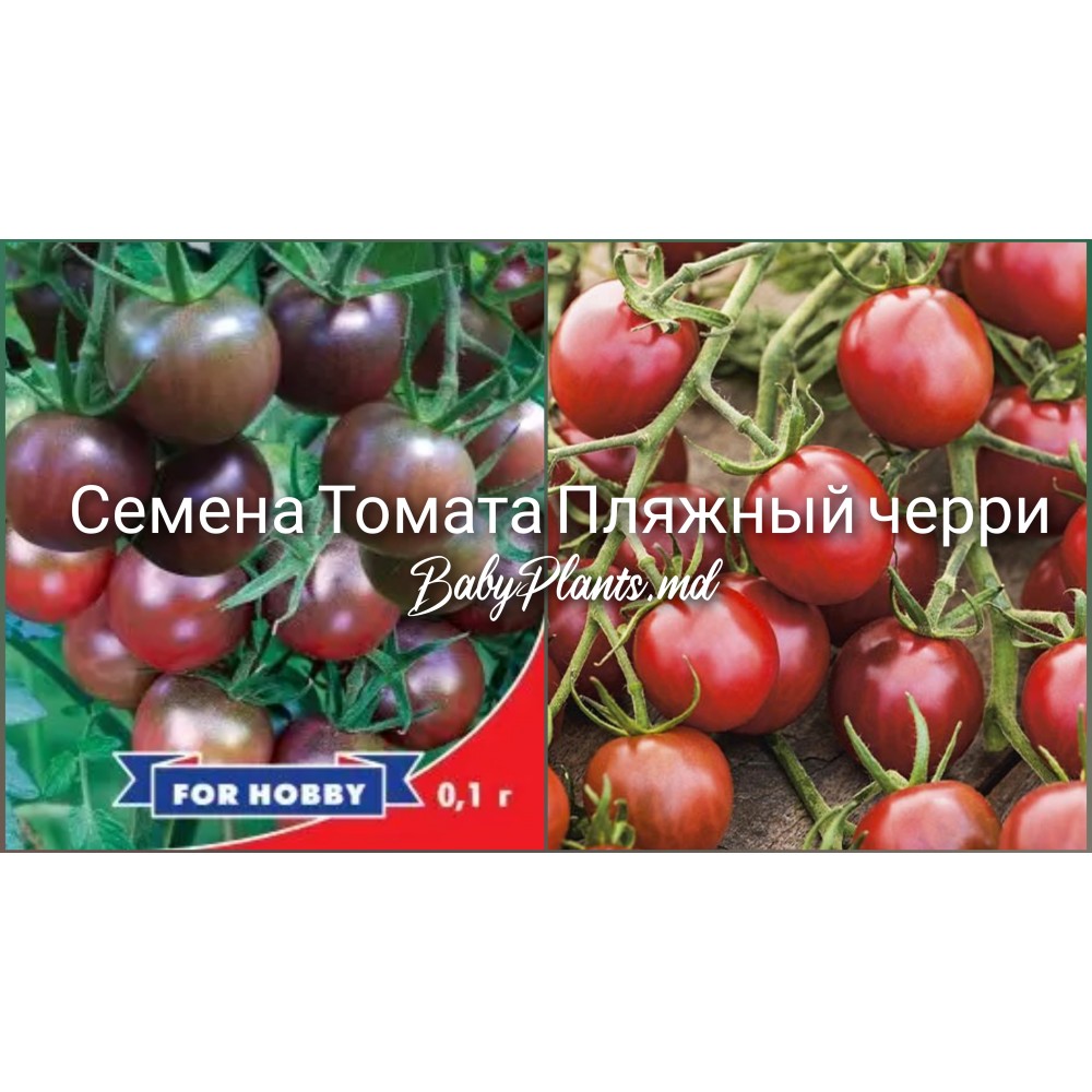 Томат Пляжный черри (0.1г)