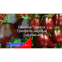 Томат Японский трюфель черный (0.1г)