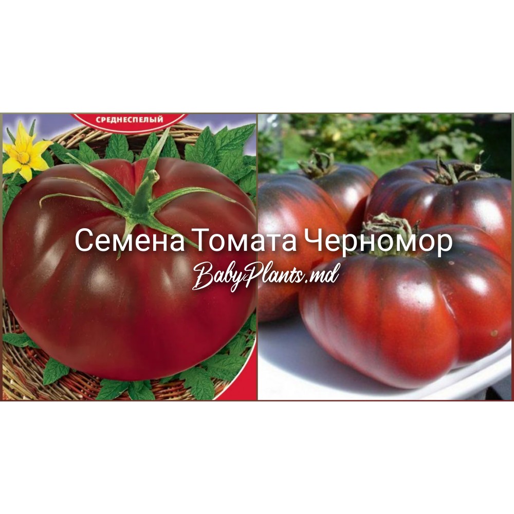 Томат Черномор (0.15г)