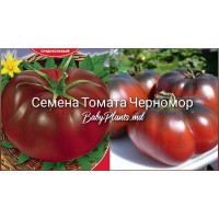Томат Черномор (0.15г)