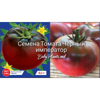 Томат Черный император (0.1г)