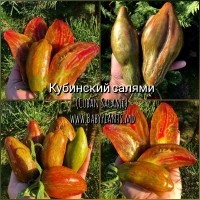 Cuban Salami - 10 seminte / Кубинский салями