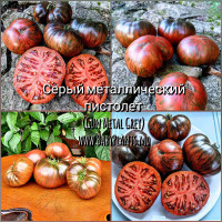 Pistolul sur metalic (Gun Metal Grey)  - 10 seminte / Серый металлический пистолет