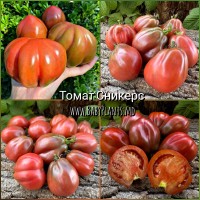 Snickers - 10 seminte / Сникерс