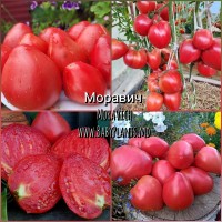 Moravich - 10 seminte / Моравич 