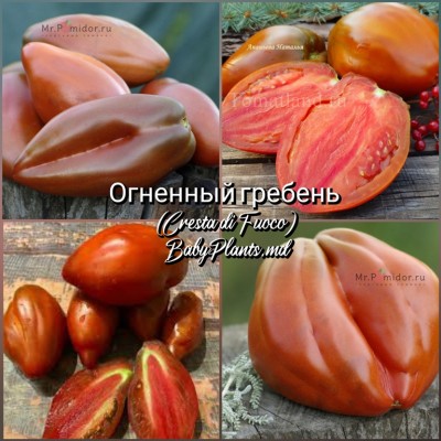 Томат Огненный гребень (Cresta di Fuoco) - 10 семян