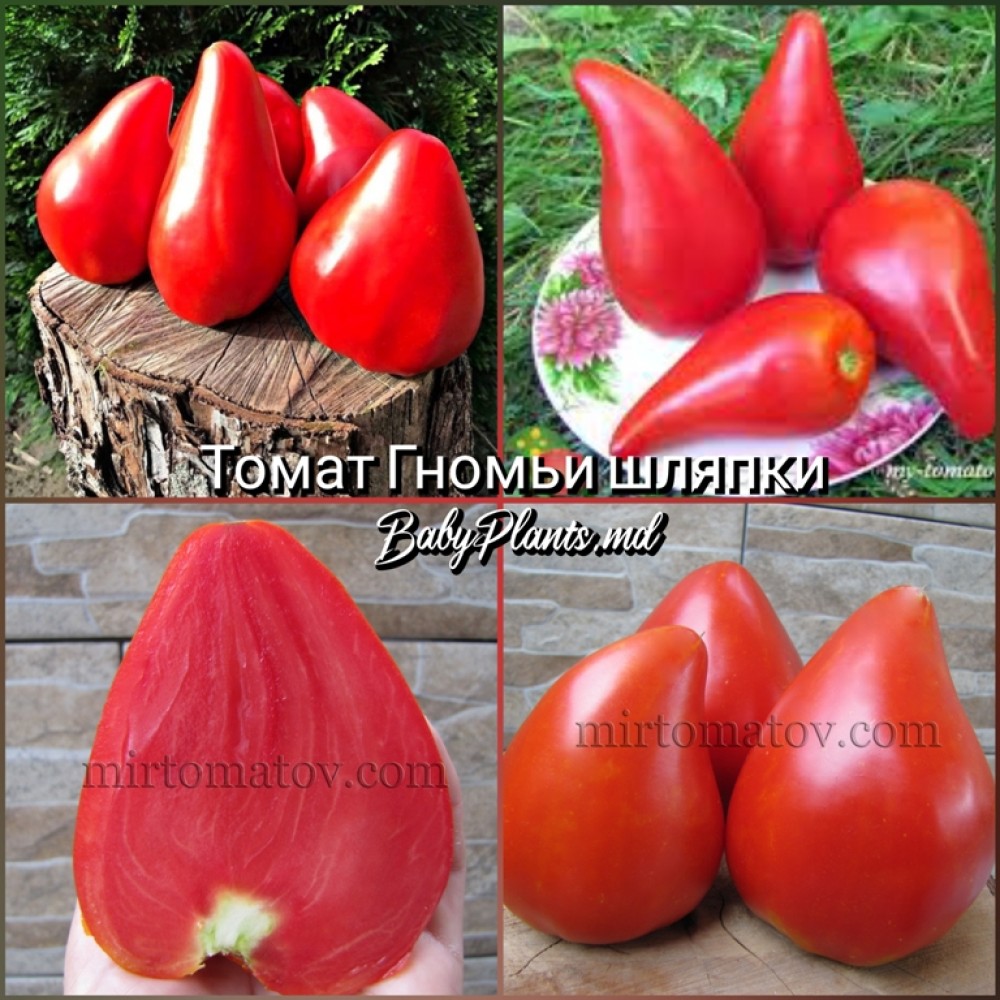 Томат Гномьи шляпки - 10 семян