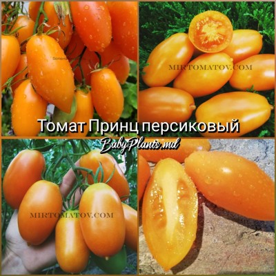 Томат Принц персиковый - 10 семян