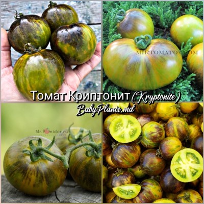 Томат Криптонит (Kryptonite) - 10 семян