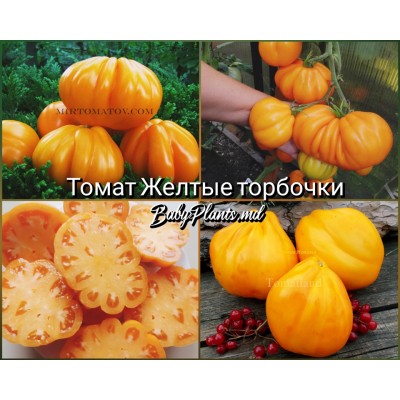 Томат Желтые торбочки - 10 семян