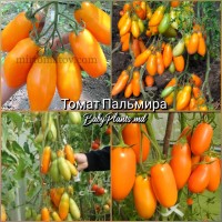 Томат Пальмира - 10 семян