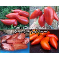 Томат Сердце Боба (Cuore de Bob) - 10 семян