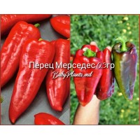 Перец Мерседес 0.3гр