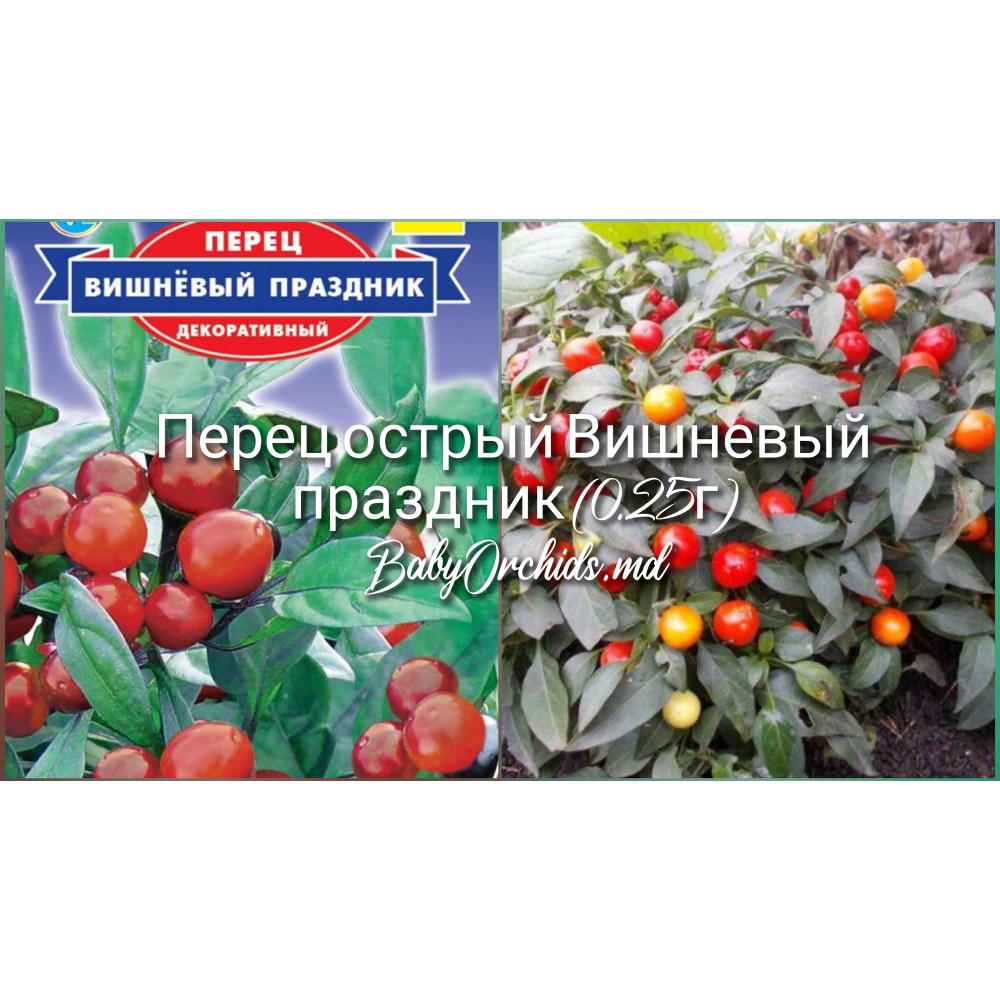 Перец острый Вишневый праздник (0.25г)