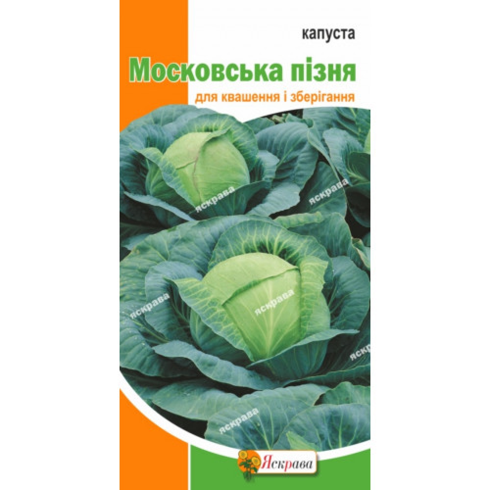 Капуста белокачанная Московская поздняя 0.5 г