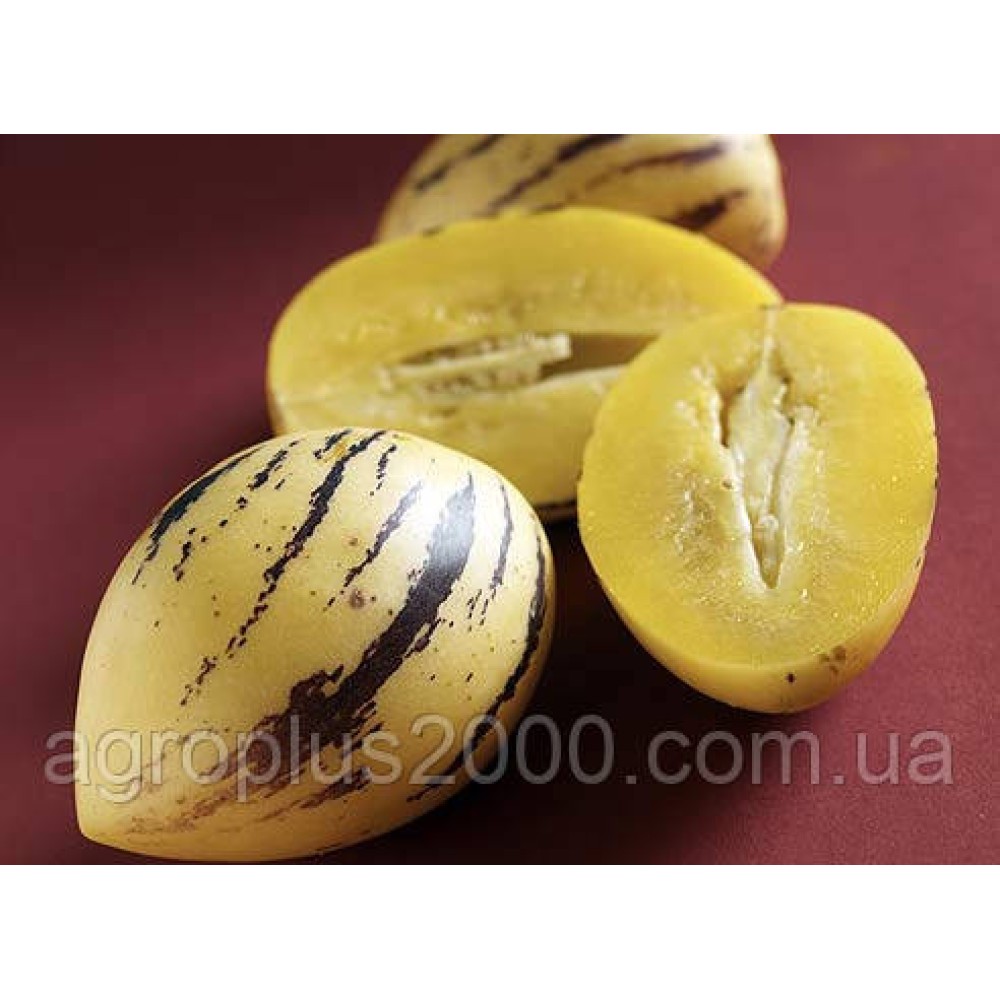 Пепино (Дынная груша) 5 семян