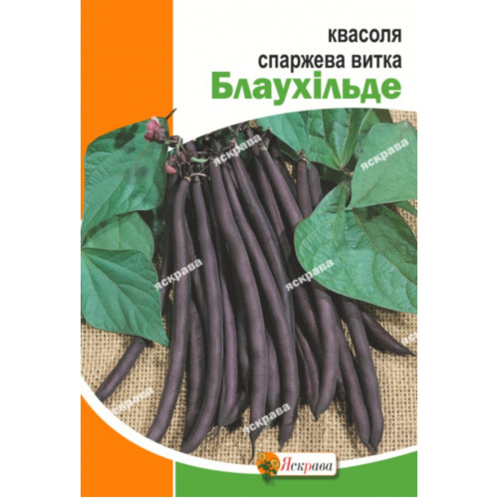 Фасоль спаржевая вьющееся Блаухильде (10г)