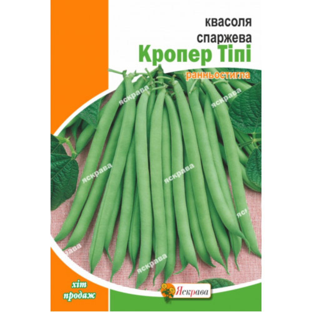 Фасоль спаржевая кустовая Кропер Типи 10 г