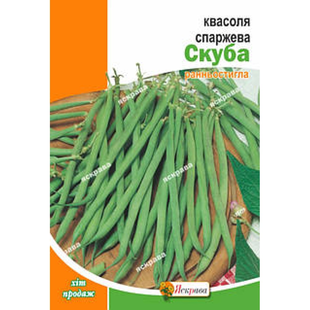 Фасоль спаржевая кустовая Скуба 10 г