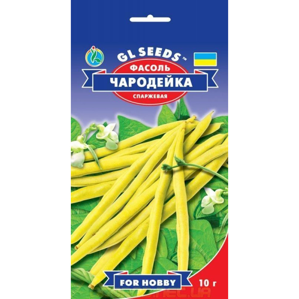 Fasole păstăi urcătoare Vrăjitoarea (10 g)