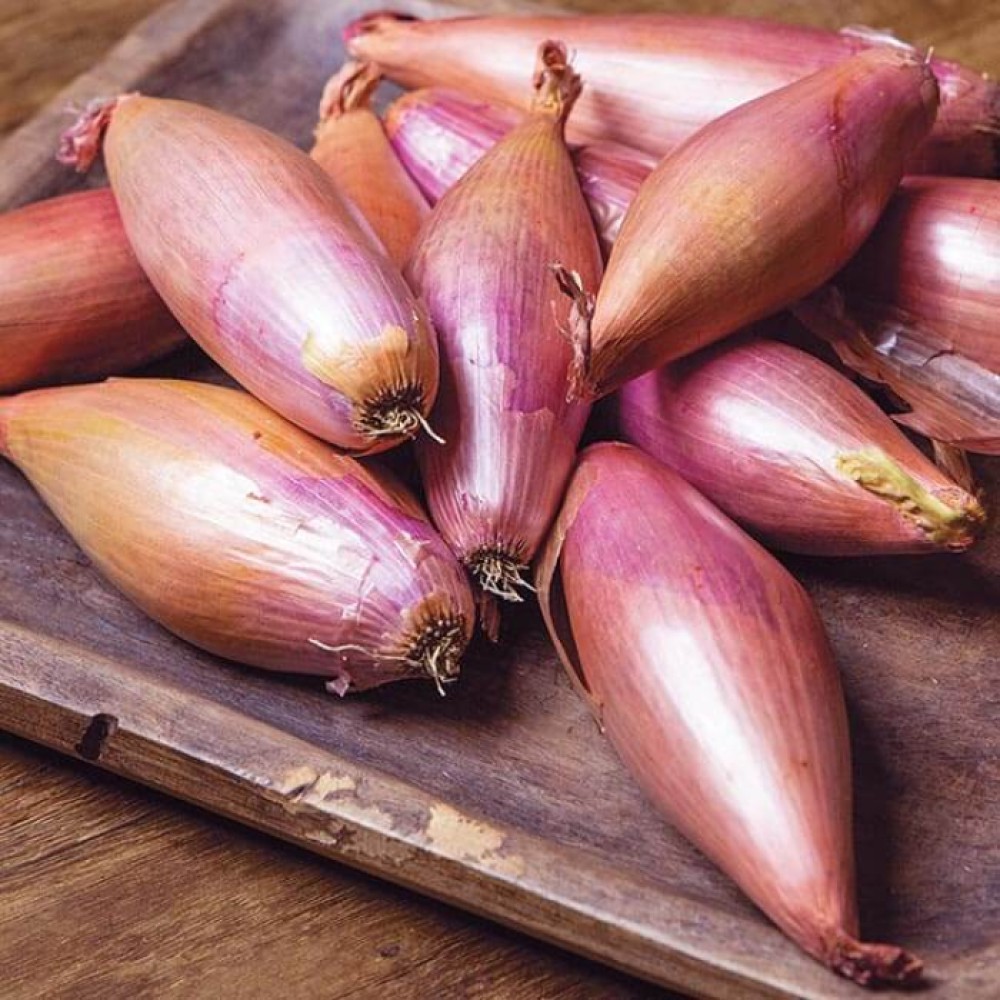 Лук Репчатый Банановый шалот 300 семян