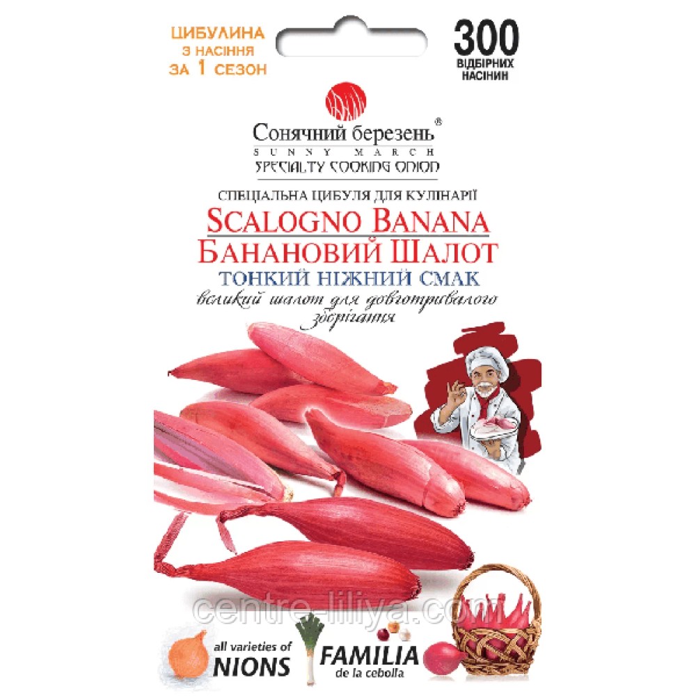 Лук Репчатый Банановый шалот 300 семян