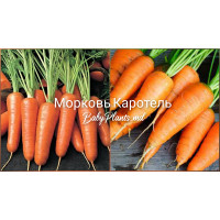 Морковь Каротель 3 г