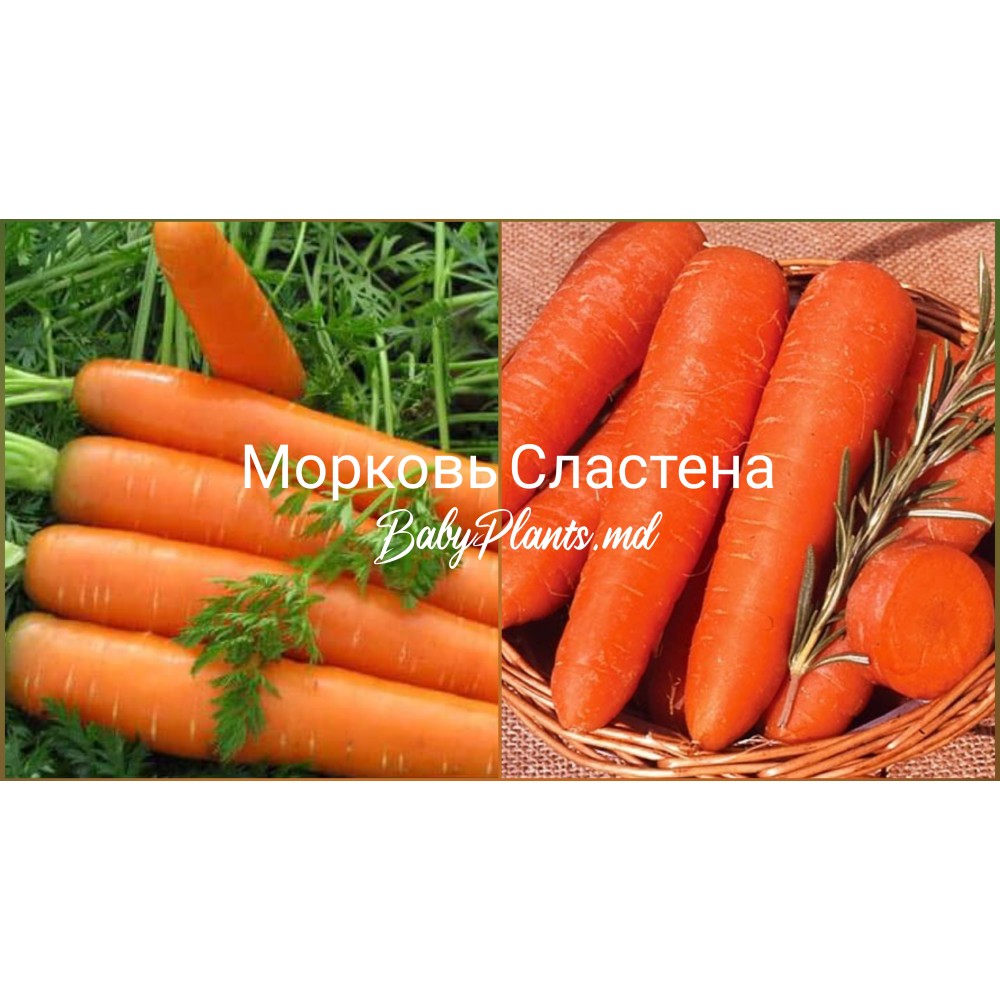 Морковь Сластена 2 г