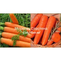Морковь Сластена 2 г