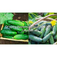 Огурец Универсальный F1 0.5 г