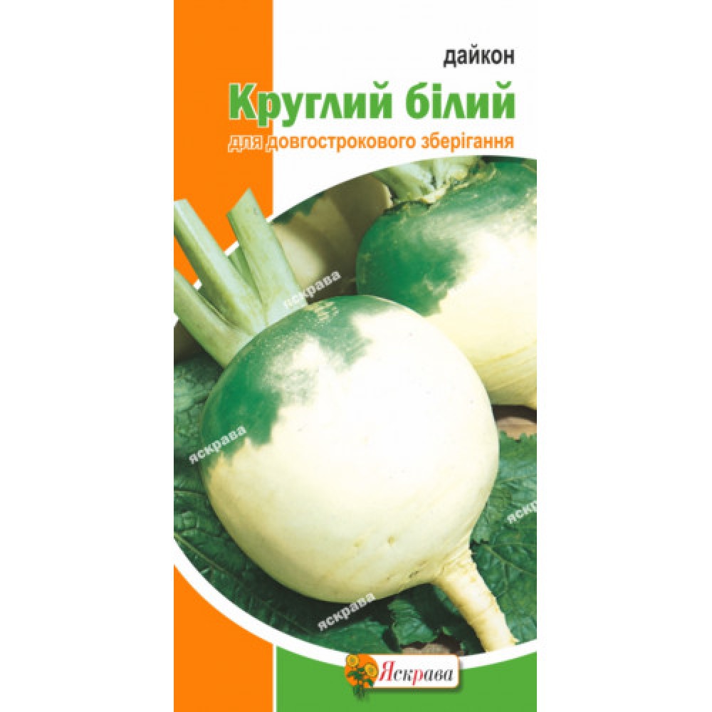 Daikon Alb Rotund (2 g)