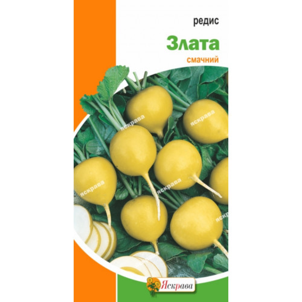 Редис Злата 2 г